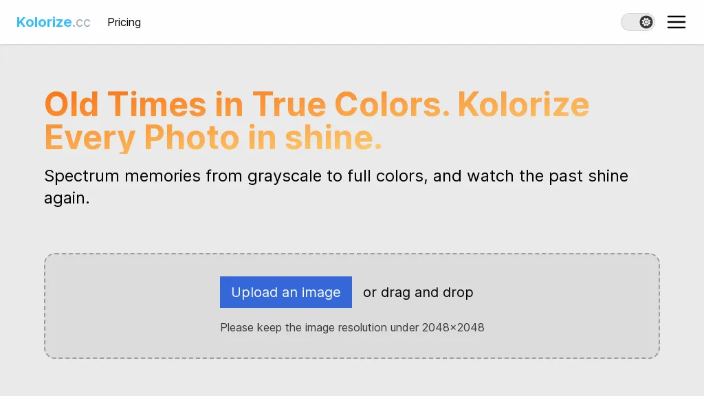 Image Colorizer Top AI tools